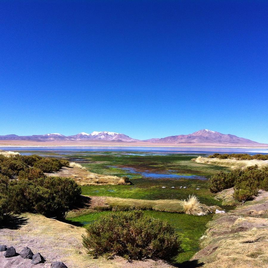 Vila Cota6000 Dpto A San Pedro de Atacama Exteriér fotografie