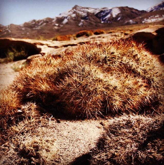 Vila Cota6000 Dpto A San Pedro de Atacama Exteriér fotografie